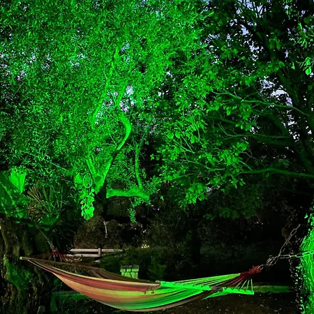 Appartement Endless Seaview A *